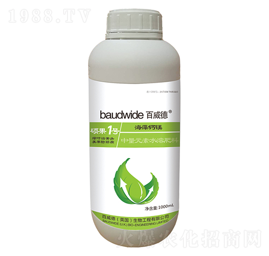 �T��һ̖-������