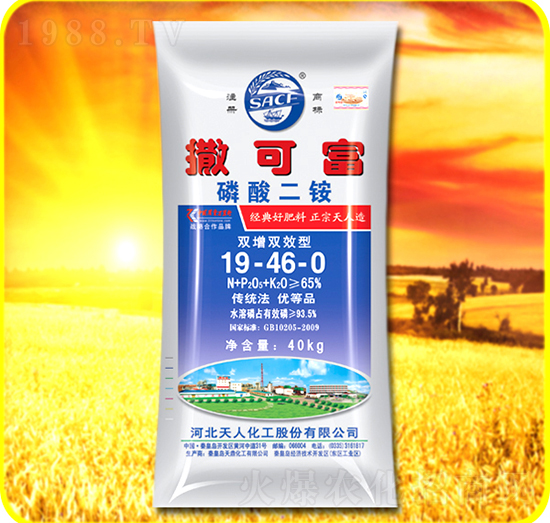 ������@19-46-0-���ɸ�-���˻���