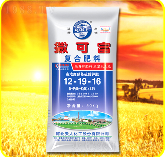 ��(f��)�Ϸ���12-19-16-���ɸ�-���˻���