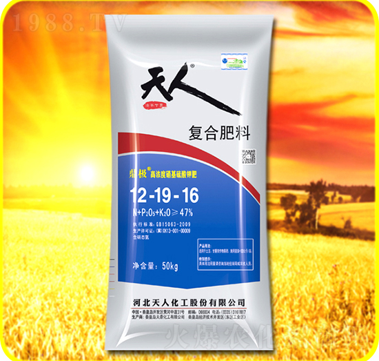 ��(f��)�Ϸ���12-19-16-���˻���