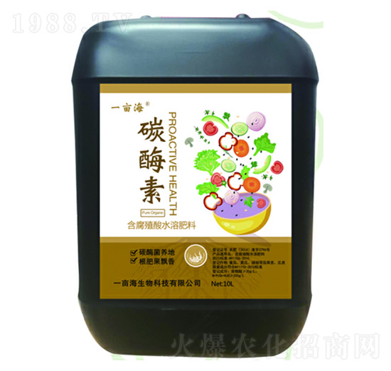 ̼ø��-һ����-��������