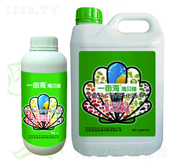 һ������ؐ�G-��������