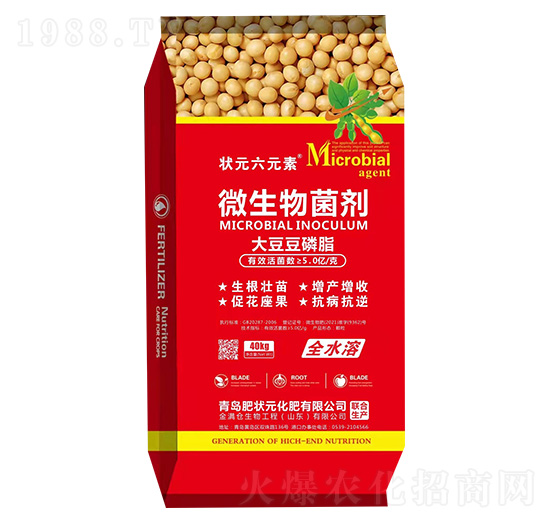 �ʠ�Ԫ-�󶹶���֬����-��Ԫ��Ԫ��