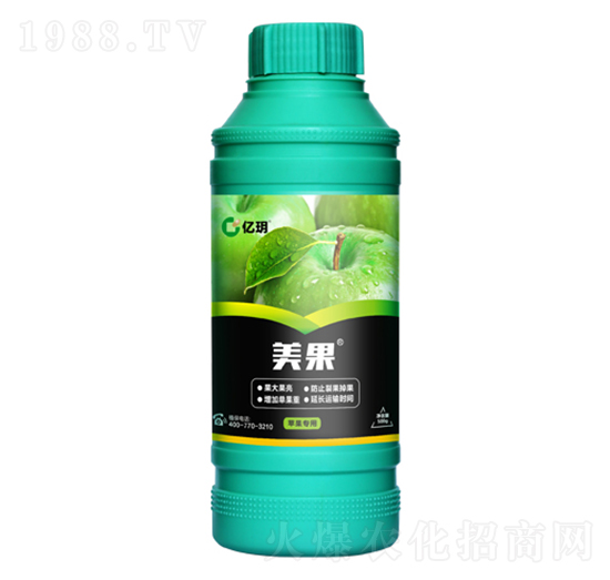 �O(p��ng)������-�R������