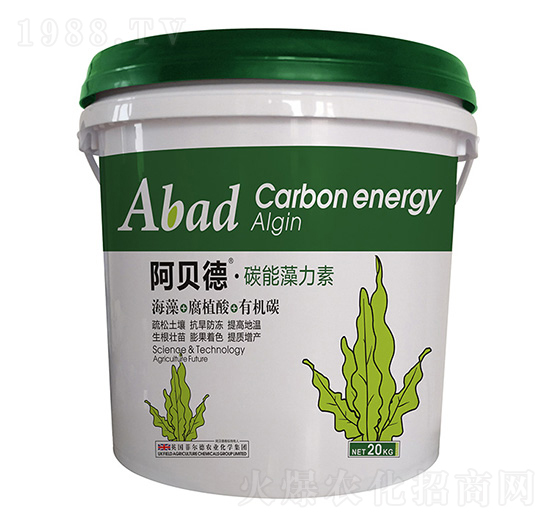 ̼��������-��ؐ��-�Ɲ��r��