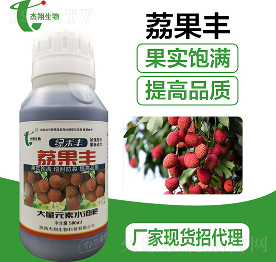 ����S�~���-��������