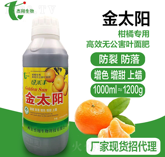 �������������-��̫�-��������