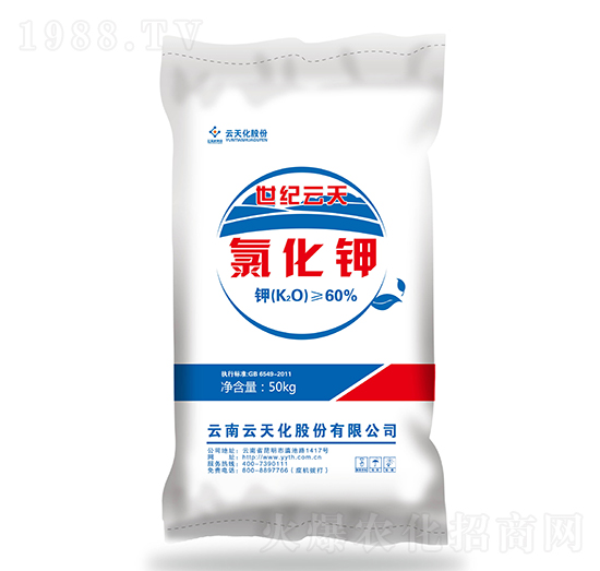 60%�Ȼ��-���o����