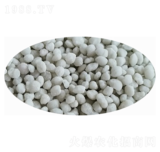 ���@����ɫ���{ɫ��-���S�Ƽ�