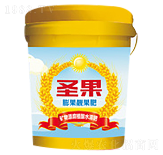 ����n����-ʥ��-�̵�