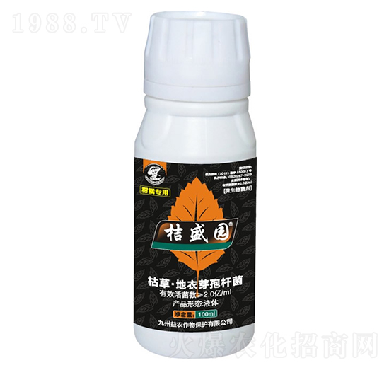 ���ٌ��ÿݲݡ�����ѿ�ߗU��-��ʢ�@-�������r