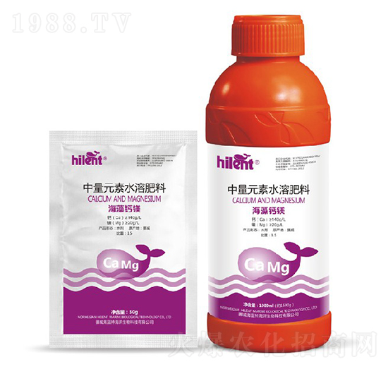 �����}�V-���{��