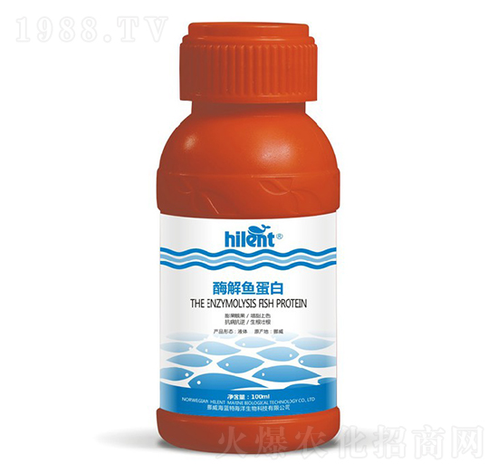 ø���~����-���{(l��n)��