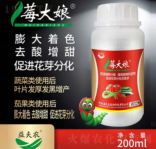 ݮ����-����r