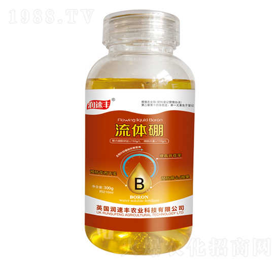 ���w��-��ï�r�I(y��)