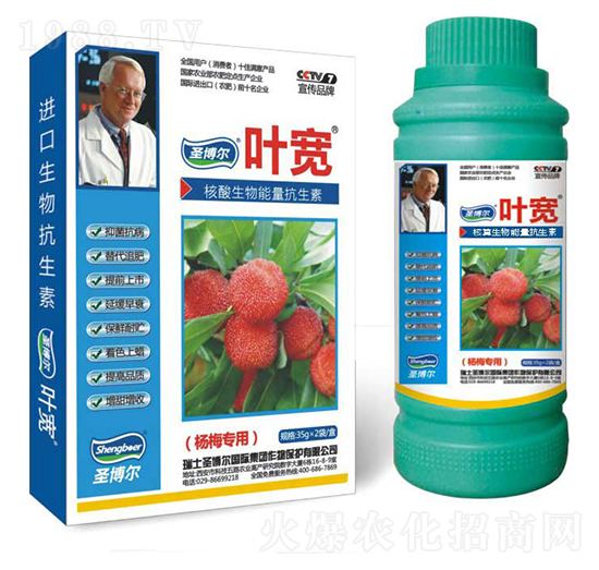 楊梅專用葉面肥-多糖生物酶誘抗肽-葉寬-圣博爾生物