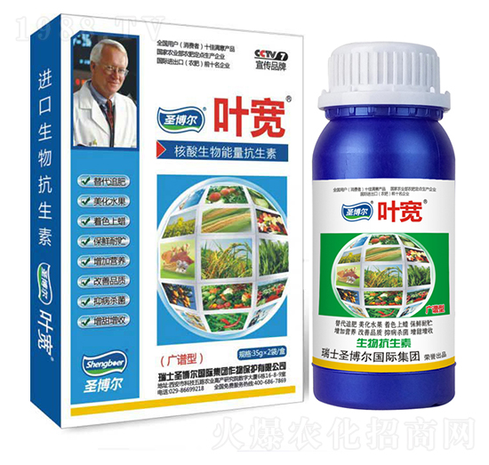 �V�V�����~���-��������ø�T����-�~��-ʥ��������