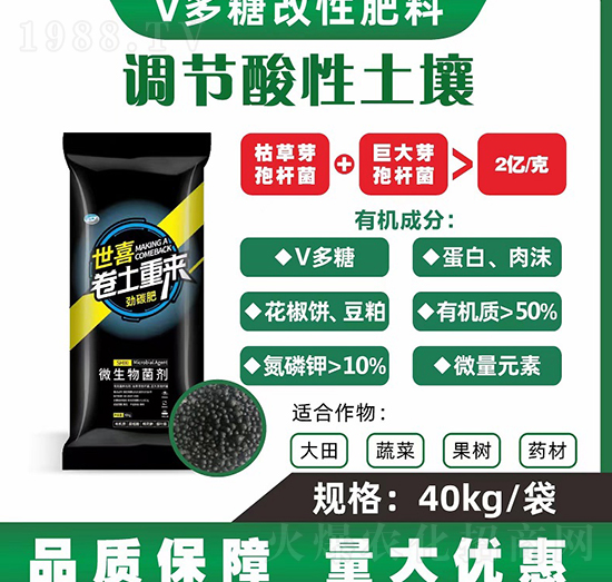 �����؁��̼��-��ϲ