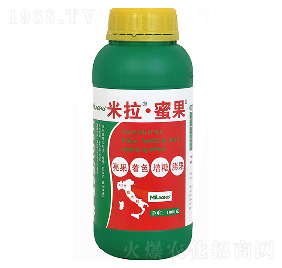 �����۹�-���h