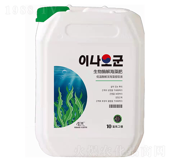 ����ø�⺣���-�Ơ���˹