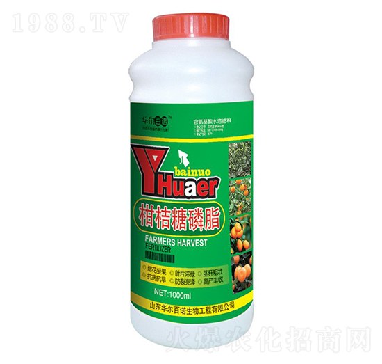 �̽�����֬-�A�����Z