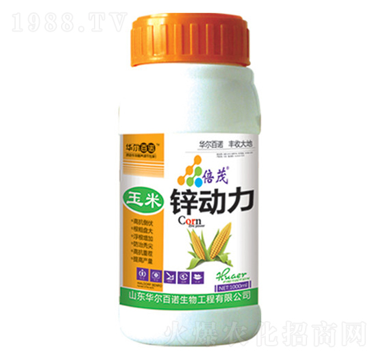 �����\��(d��ng)��-�A�����Z