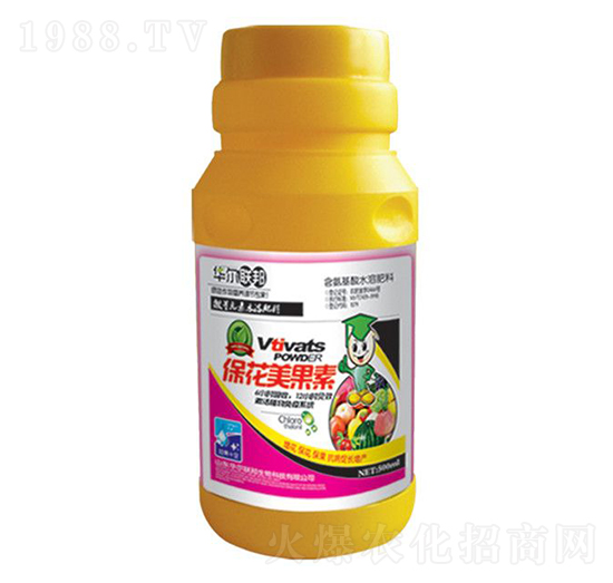 ����������-�A�����Z