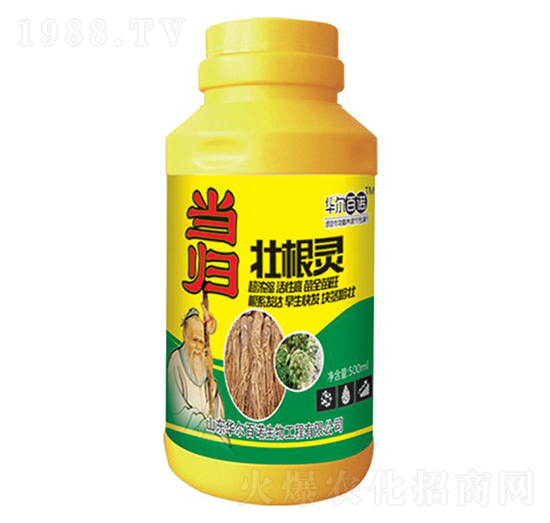 當(dāng)歸壯根靈-華爾百諾