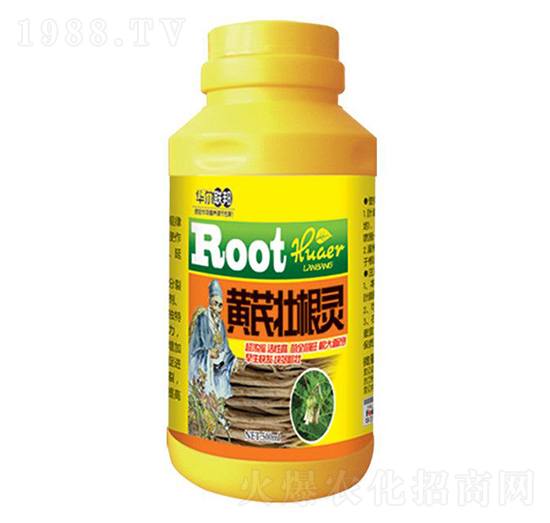 500ml�S�ΉѸ��`-�A�����Z