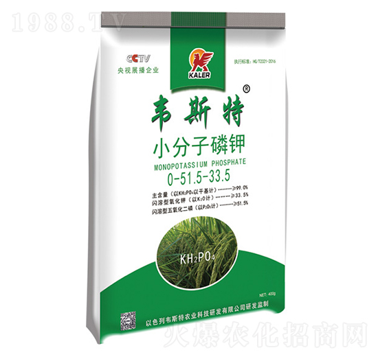 С�������-�f˹��-���r(n��ng)�I(y��)