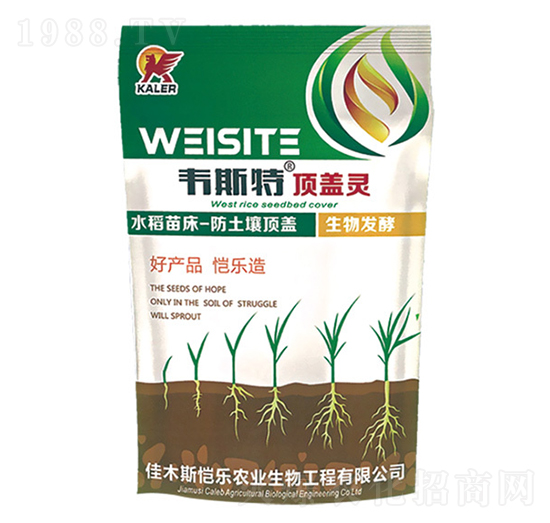 �紲��w�`-�f˹��-���r(n��ng)�I(y��)