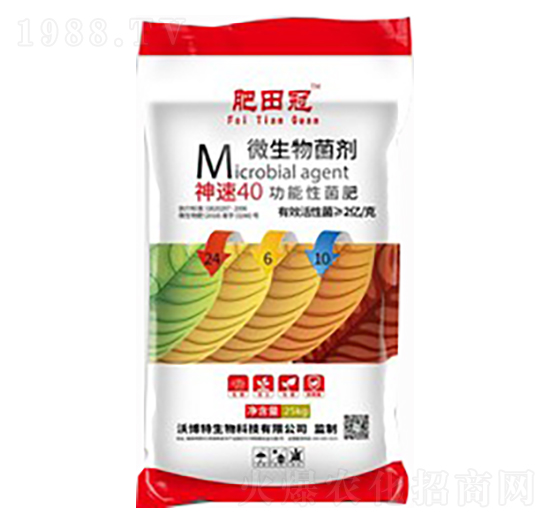 ����40�����Ծ���24-6-10-�����-�ֲ���