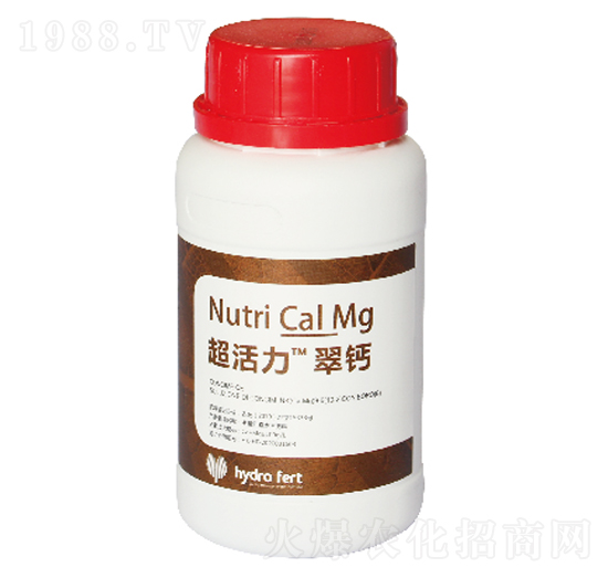 �����������}-�������