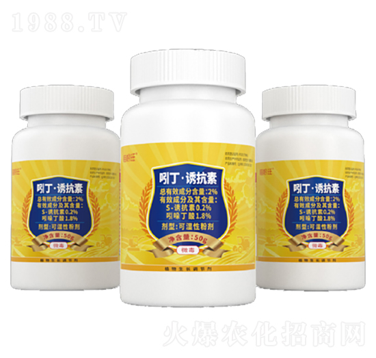 �Ŷ����T���ؿɝ��Էۄ�-�����-�����S