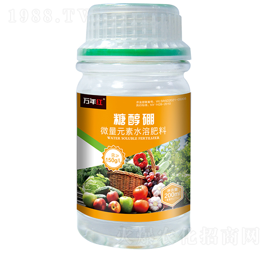 �Ǵ���-�f��t-�Z�\��