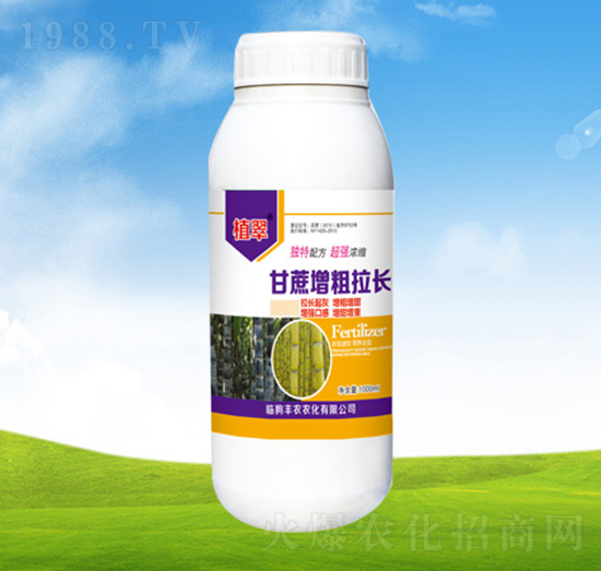 甘蔗增粗拉長(zhǎng)-植翠-豐農(nóng)農(nóng)化