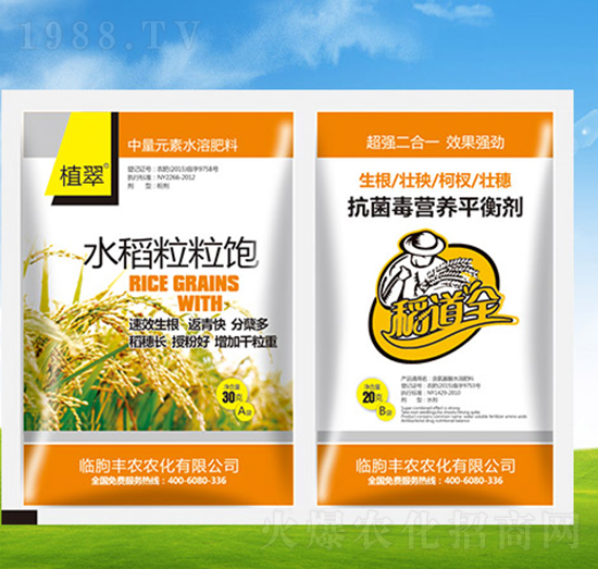 水稻粒粒飽+抗菌毒營(yíng)養(yǎng)平衡劑-植翠-豐農(nóng)農(nóng)化