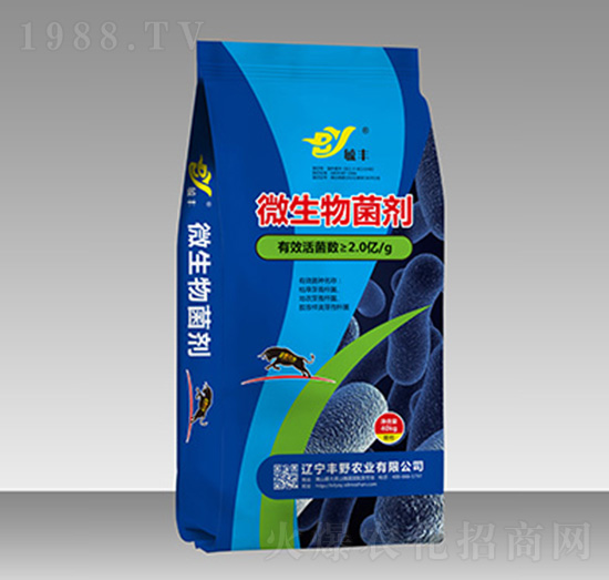 ΢�������-ع�S-�SҰ�r�I(y��)