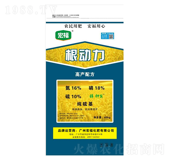 ����(d��ng)��-�������