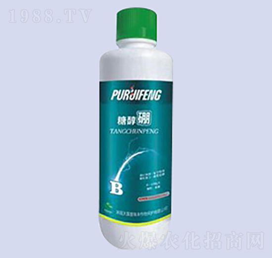 �Ǵ���-�����ʘI(y��)