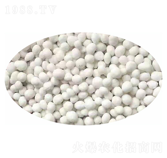 氨酸復(fù)合肥-國農(nóng)農(nóng)業(yè)