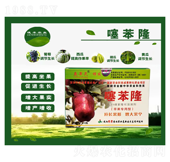 �O�������籽¡-���S