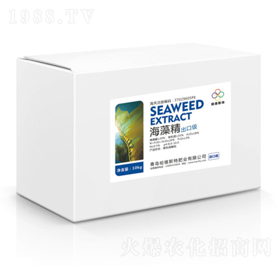 ���ڼ����徫-���S˹�طʘI(y��)