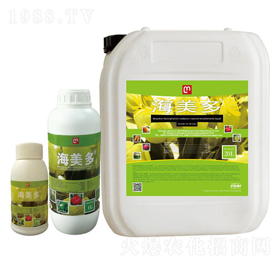 ������-������