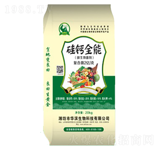 ���}ȫ��-�A�I����