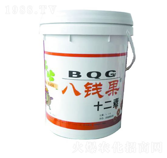 八錢(qián)果十二素-華濱生物