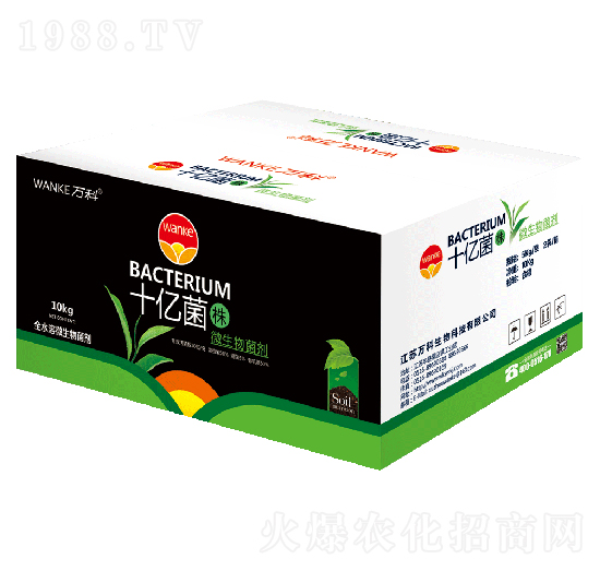 ���bʮ�|���꣨10�|����-�f��