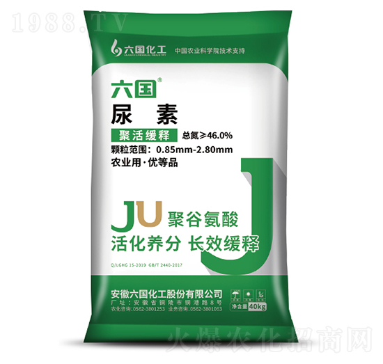 �۹Ȱ�������-��������