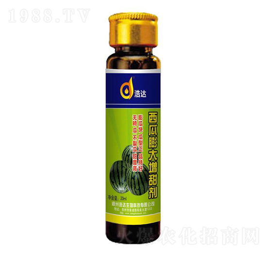 �������������-���_����