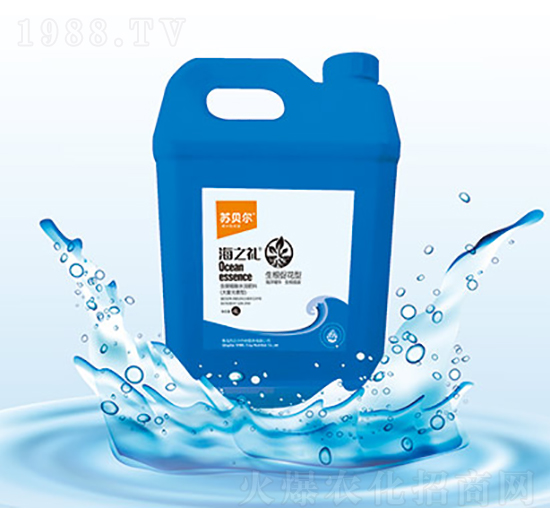 ���׽�-�Kؐ��